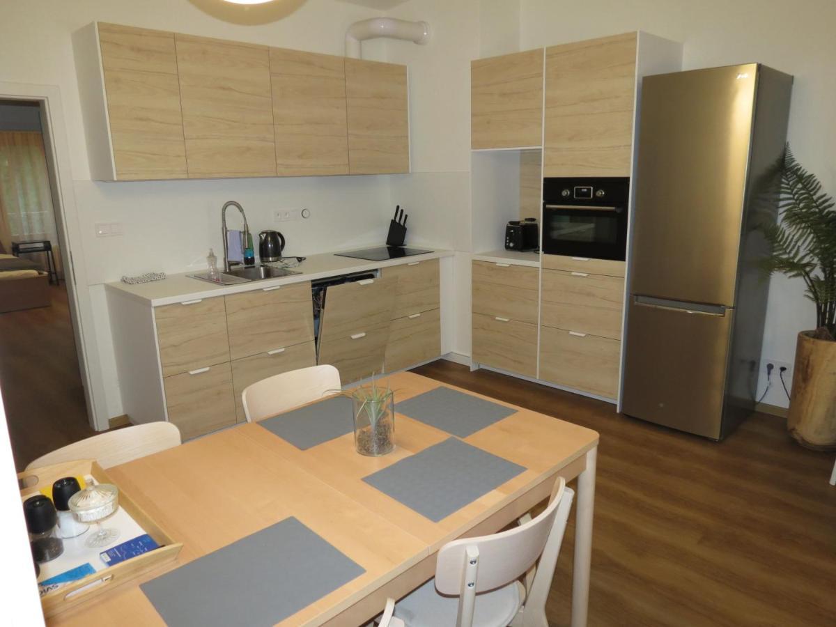 Family Apartment Lipno Lake ليبنو ناد فلتافو المظهر الخارجي الصورة